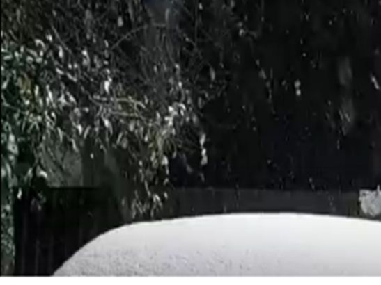 В Ростовской области 19 ноября выпал первый снег