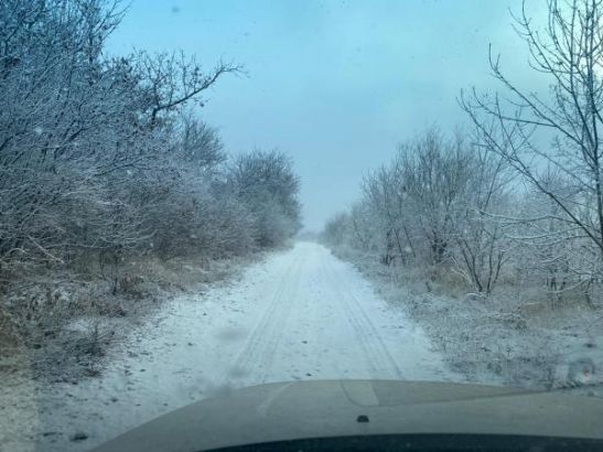 Синоптики спрогнозировали первый снег в Ростове уже 20 ноября