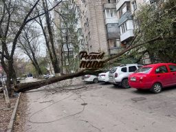 В Ростове упавшее дерево повредило несколько балконов девятиэтажки