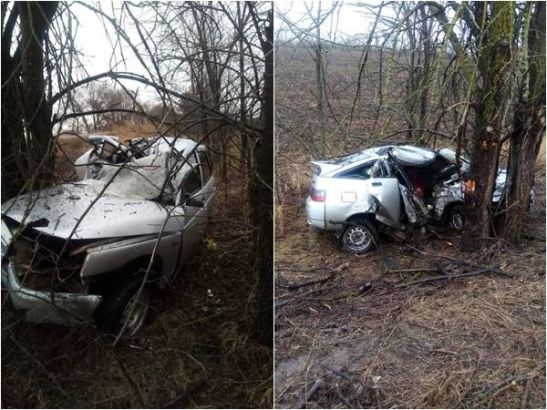 В Ростовской области два человека погибли, врезавшись на авто в дерево