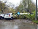 В Ростове на Коммунистическом огромная ветка упала на автомобиль