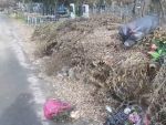 В Батайске кладбище в Красном Саду усеяно мусором и ветками