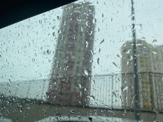 В Ростове в последнюю неделю уходящего года будет дождливо