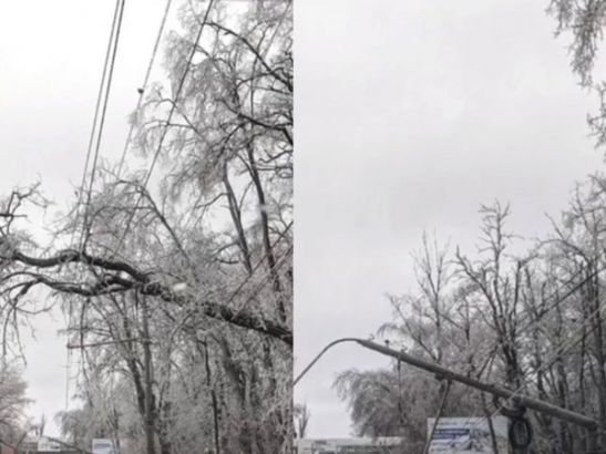 В Ростове на Шолохова из-за падения опоры ЛЭП и дерева образовалась пробка
