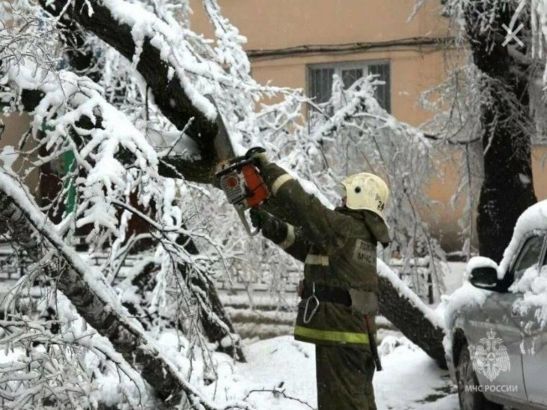 До 18 декабря продлен режим повышенной готовности в Ростове
