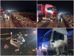 На трассе Ростов – Ставрополь в лобовом ДТП с фурой погибли трое детей и двое взрослых