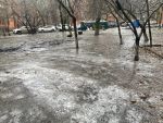 В Ростовской области прогнозируют туман и гололед 29 декабря