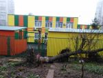 В Ростове дерево упало на забор детсада № 118