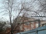 В Ростове на Западном из-за непогоды упал фонарный столб