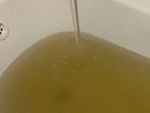 В Ростове из кранов жителей на Западном потекла болотная вода
