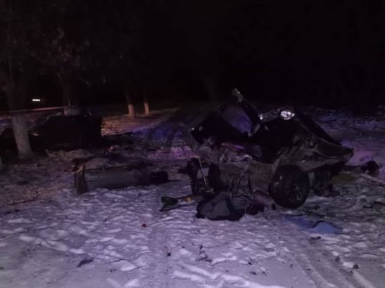 В Ростовской области погиб мужчина, врезавшись в дерево на «Ладе»