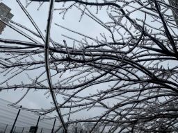 сестры бронте фильм. нити между людьми. как под незримою пятой. транспозиция в музыке. анна ахматова руки под темной вуалью.