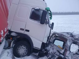 Погода в м кургане ростовской