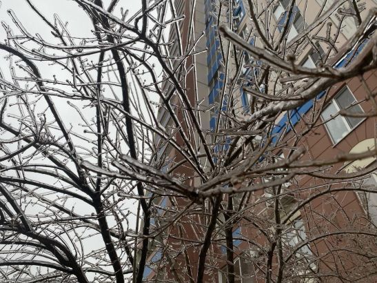 Первая рабочая неделя года в Ростове будет морозной и снежной