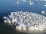 На водоемах Ростовской области появились «морозные цветы»