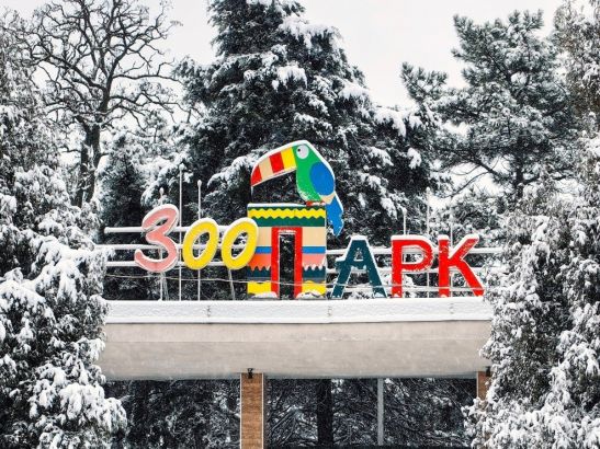 Билет в Ростовский зоопарк станет бесплатным на один день