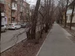 Жители Ростова пожаловались на обломанные ветки, которые лежат с прошлого года на Герасименко