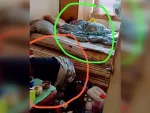 В Зверево женщина месяц спала в комнате с разлагающимся трупом мужа