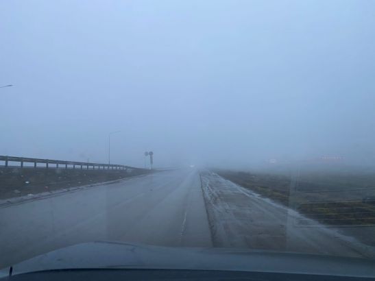 На Ростовскую область 4 февраля опустился густой туман