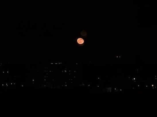 Ростовчане стали свидетелями «кровавой Луны»