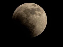 Ростовчане пропустят первое затмение Луны в 2024 году