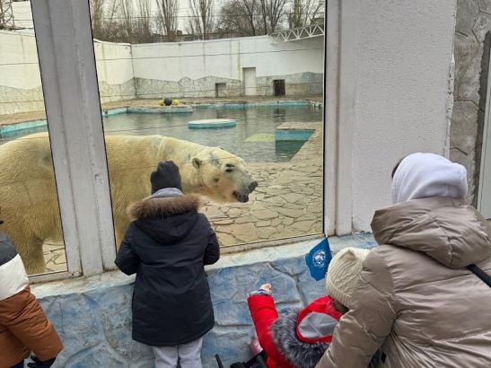 В Ростовском зоопарке объяснили причину нездорового вида белого медведя