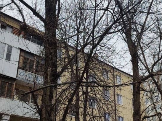 В центре Ростова сломанные ветки повисли над головами пешеходов