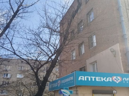 В Ростове аварийное дерево наклонилось над многоэтажкой