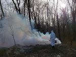 На обработку ростовских кладбищ от клещей потратят 1,7 миллиона рублей