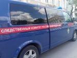 Возбуждено уголовное дело по факту нападения стаи собак на 9-летнюю девочку