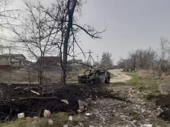 В Волгодонске пенсионер сгорел в машине после ДТП с деревом