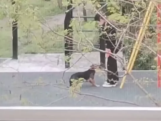 Ростовчане сняли на видео, как девочка-подросток издевается над своей собакой
