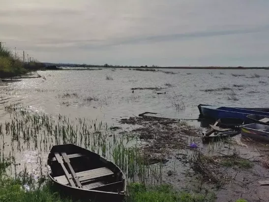 В Ростовской области Мертвый Донец вышел из берегов из-за нагонного ветра