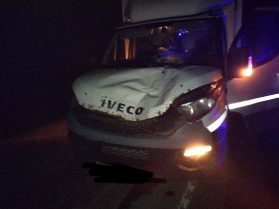В Ростовской области мужчина погиб под колесами фургона