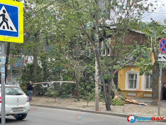В Ростове на Журавлева аварийное дерево упало на жилой дом
