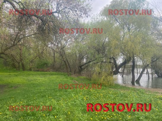 Более 6 миллионов выделят на борьбу с паводками в Ростовской области