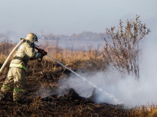 В Ростовской области с 23 по 24 апреля объявили чрезвычайную пожароопасность