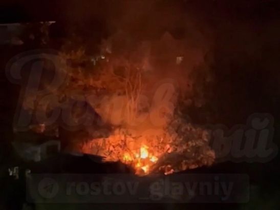 В Ростове на Извилистой сгорел садовый домик