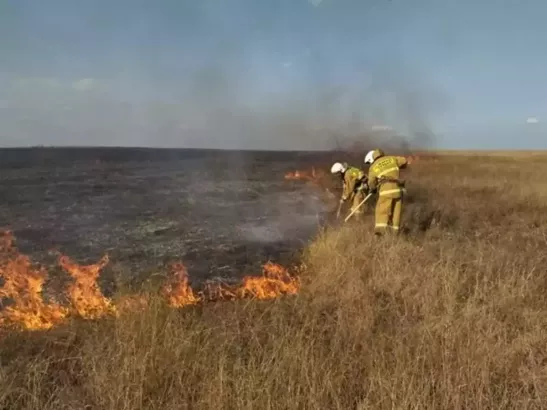 В Ростовской области объявили о чрезвычайной пожароопасности