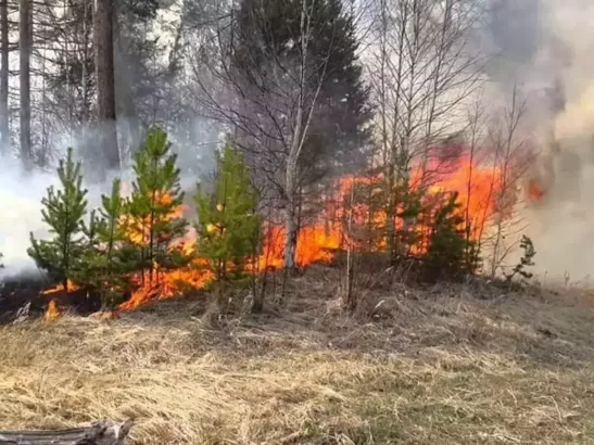 В Ростове сохраняется высокий риск возникновения пожаров