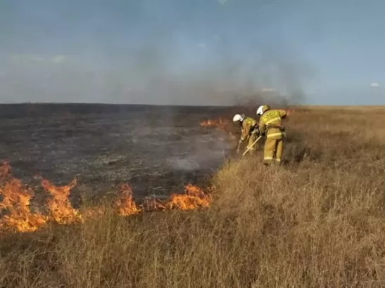 В Ростовской области объявлена чрезвычайная пожароопасность с 11 по 12 мая