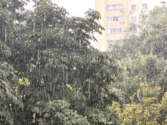 Ростовскую область 20 мая накроет дождь с грозой