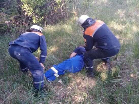 В Ростовской области водитель легковушки получил травмы, вылетев в кювет