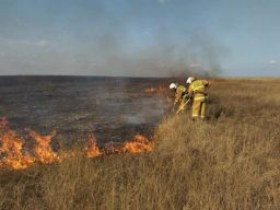 На Дону 1 мая объявили о чрезвычайной пожароопасности