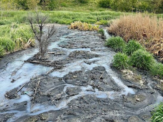В реку Красного Сулина в Ростовской области сбрасывают нечистоты