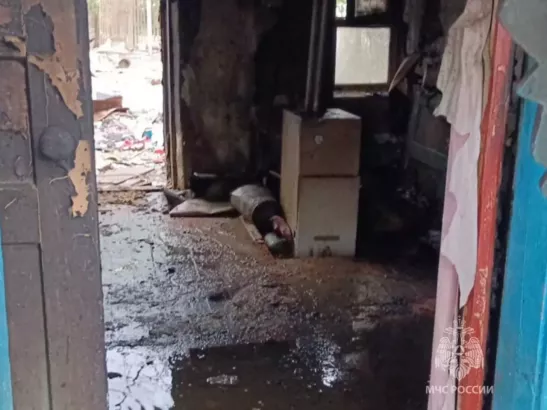 В Ростовской области 5-летний мальчик получил ожоги кистей при пожаре в доме