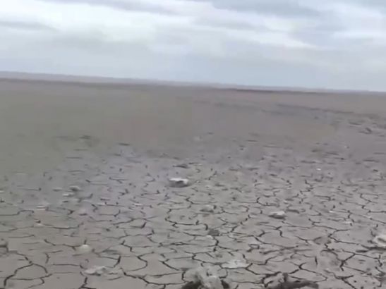 Берег Таганрогского залива обмелел из-за ветрового сгона