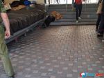 В Ростове на Соборной у прохожего случился приступ эпилепсии