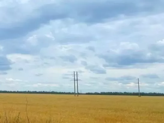 В Ростовской области из-за засухи с 4 июня ввели режим повышенной готовности