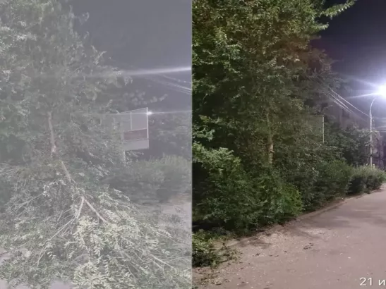Последствия ураганного ветра в Ростовской области в ночь на 21 июня